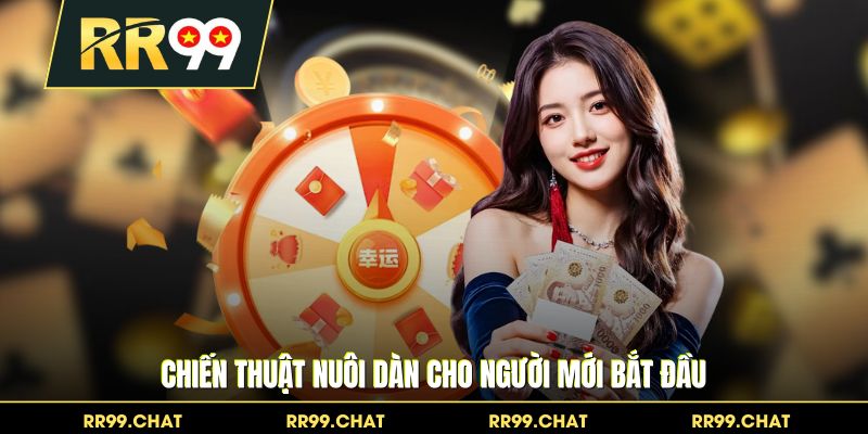 Chiến thuật nuôi dàn cho người mới bắt đầu