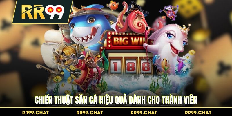 Chiến thuật săn cá hiệu quả dành cho thành viên