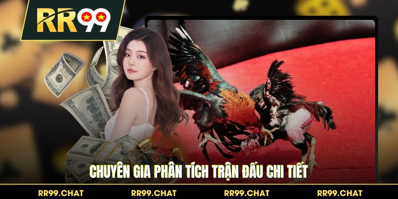 Chuyên gia phân tích trận đấu chi tiết