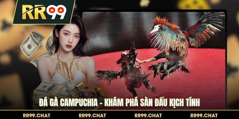 Đá Gà Campuchia